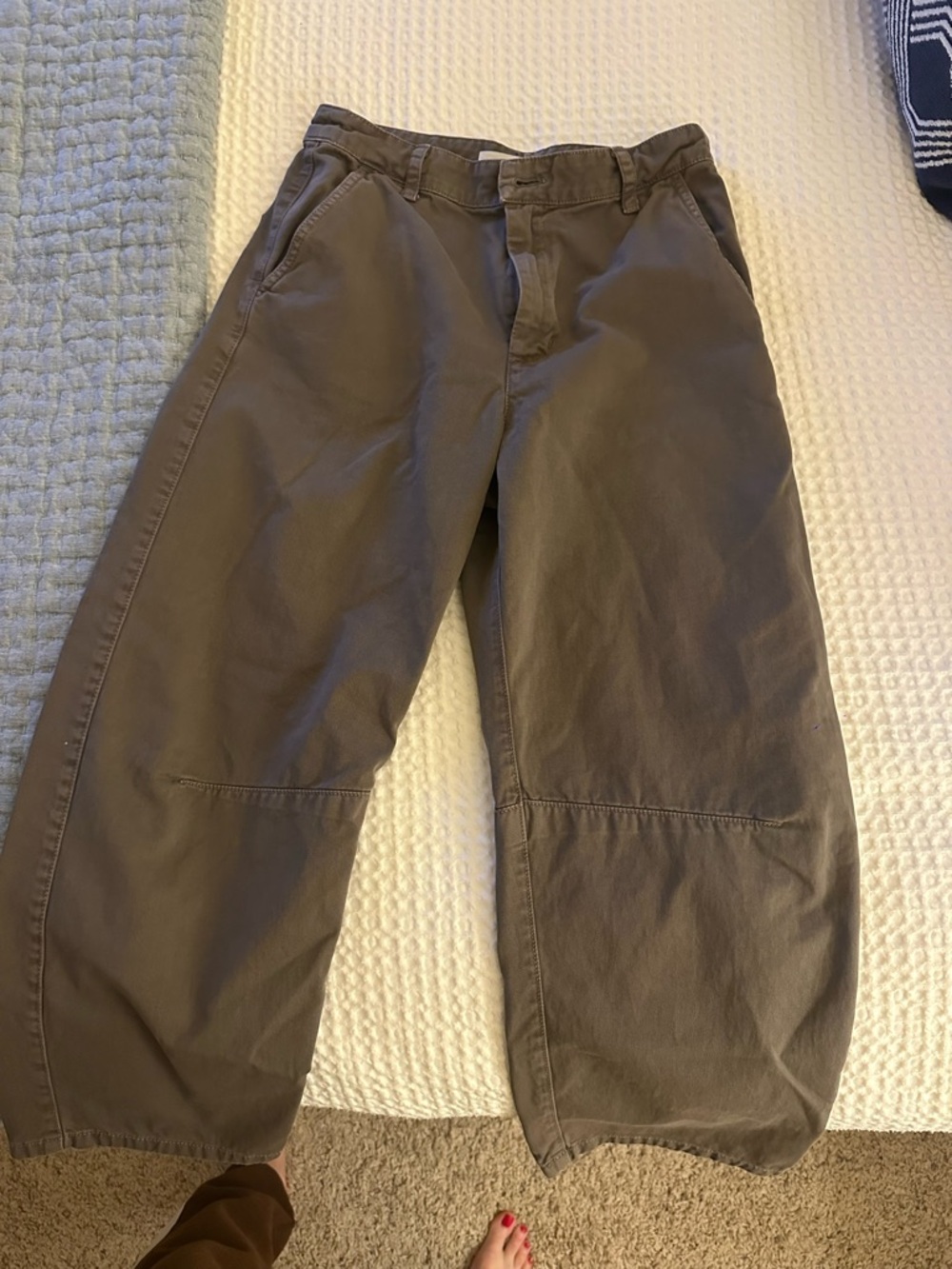 Velvet by Graham & Spencer Taupe/Brown Barrel Pants